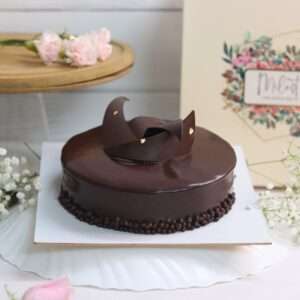 Premium chocolate Dutch truffle cake with chocolate garnishing