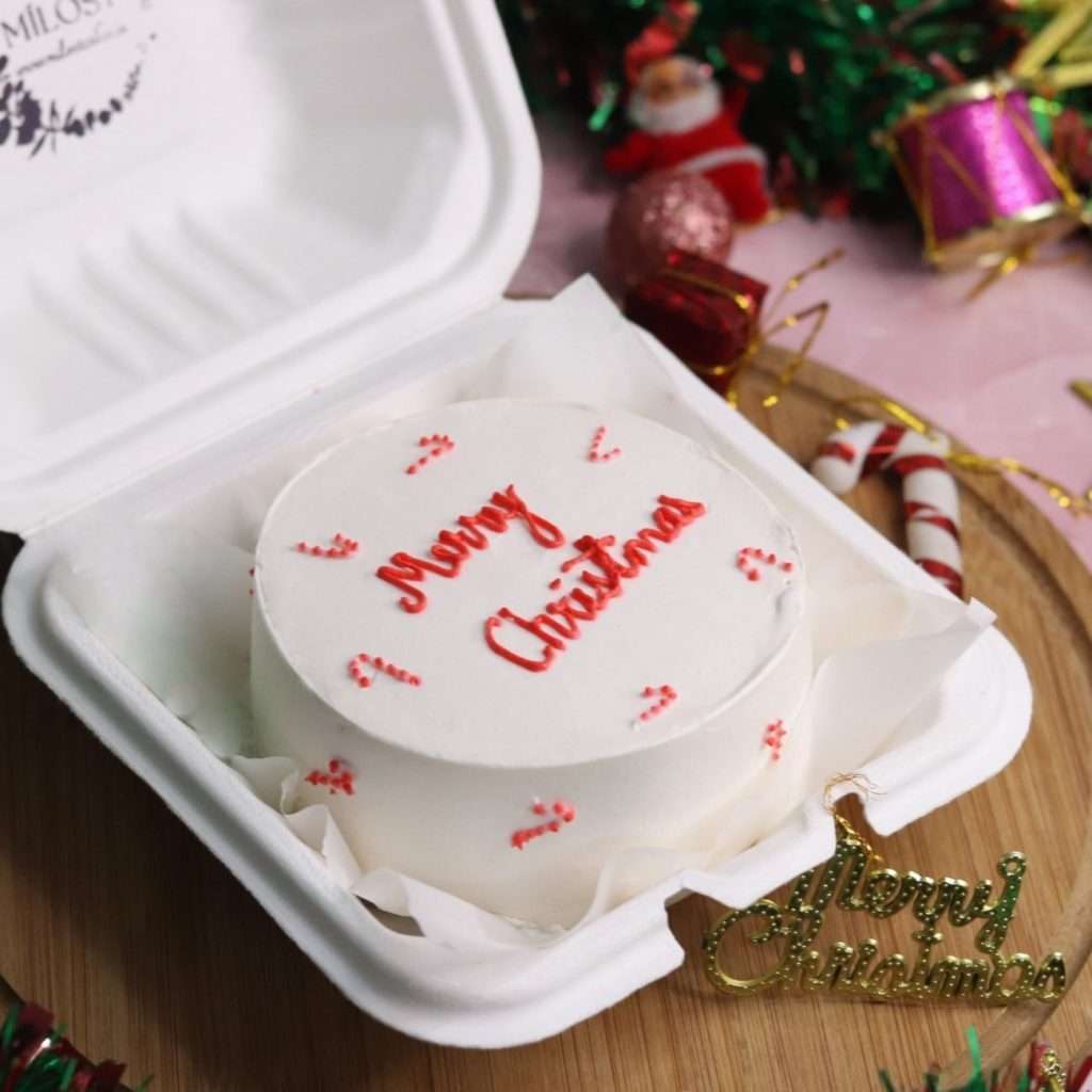 Bento cake with candy cane design for christmas